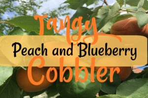 Tangy Peach and Blueberry Cobbler| blowingawayoutwest.com - Holiday cooking: Peach Blueberry Cobbler, a tried and true favorite recipe. #cobblerrecipe #blueberrycobbler #peachcobbler #holidaydesserts #holidaytreats #cobbler