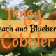 Tangy Peach and Blueberry Cobbler