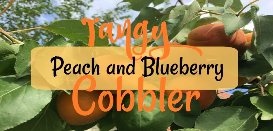 Tangy Peach and Blueberry Cobbler| blowingawayoutwest.com - Holiday cooking: Peach Blueberry Cobbler, a tried and true favorite recipe. #cobblerrecipe #blueberrycobbler #peachcobbler #holidaydesserts #holidaytreats #cobbler
