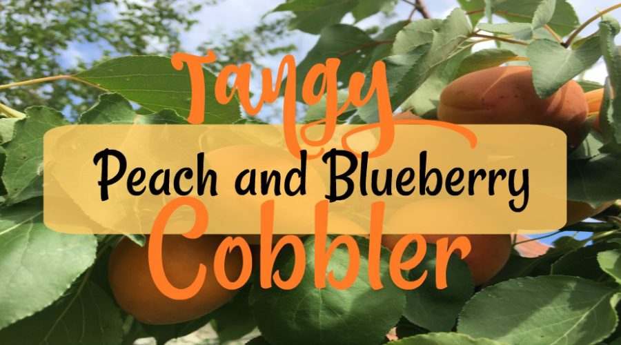 Tangy Peach and Blueberry Cobbler