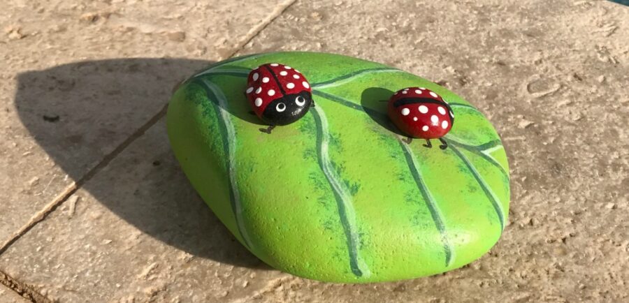 Cute Painted Rocks
