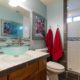 Tub to Walk-in Shower Conversion : Bathroom Makeover