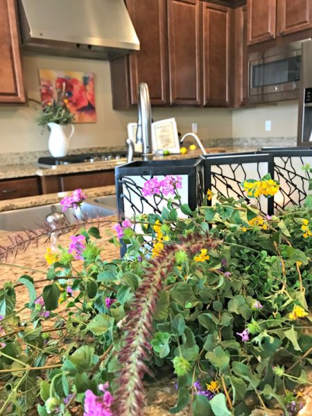 Projects for a Bewitching Kitchen