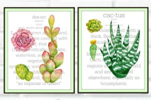 Sensational Cactus & Succulent Botanical Prints